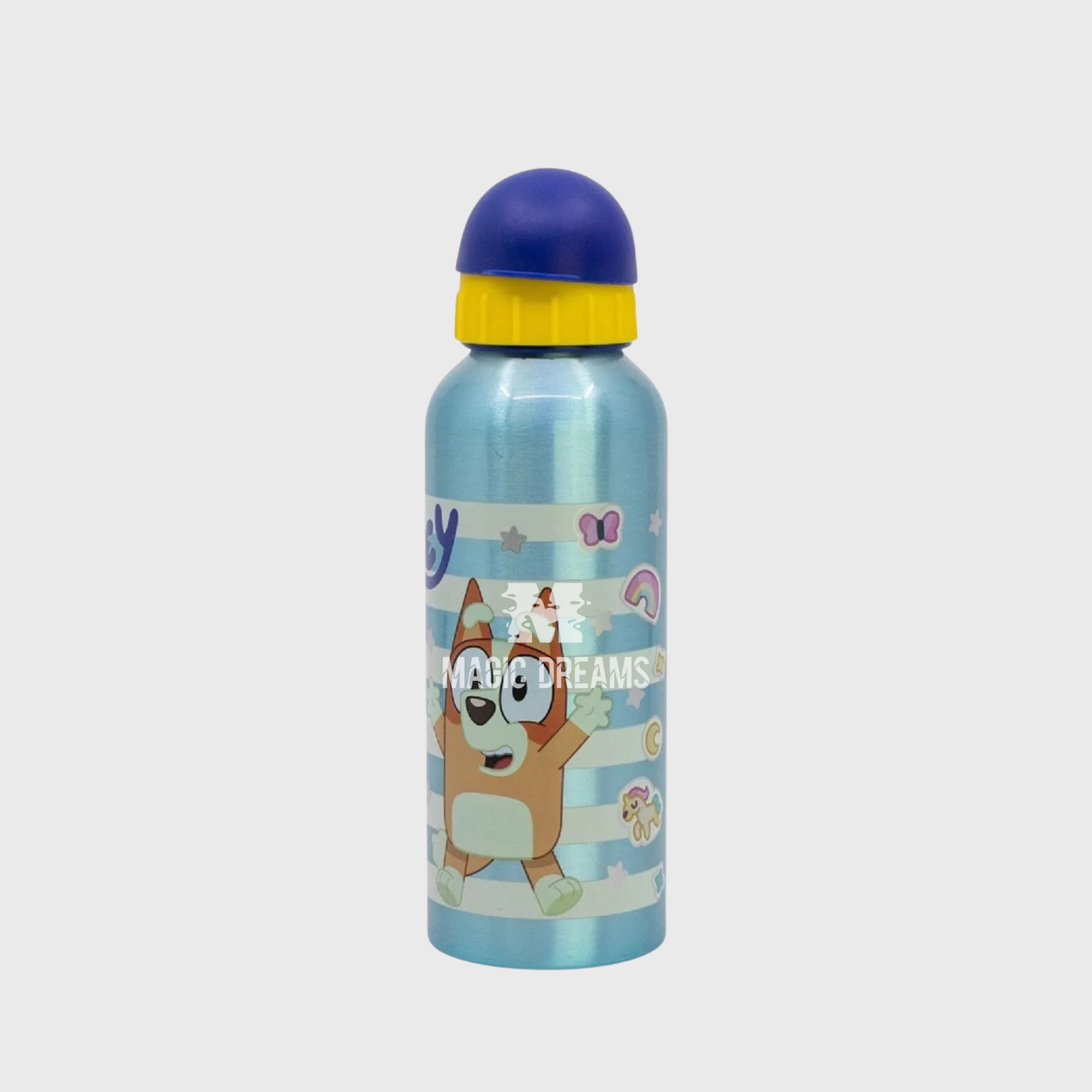 Garrafa de Alumínio Bluey 500ml