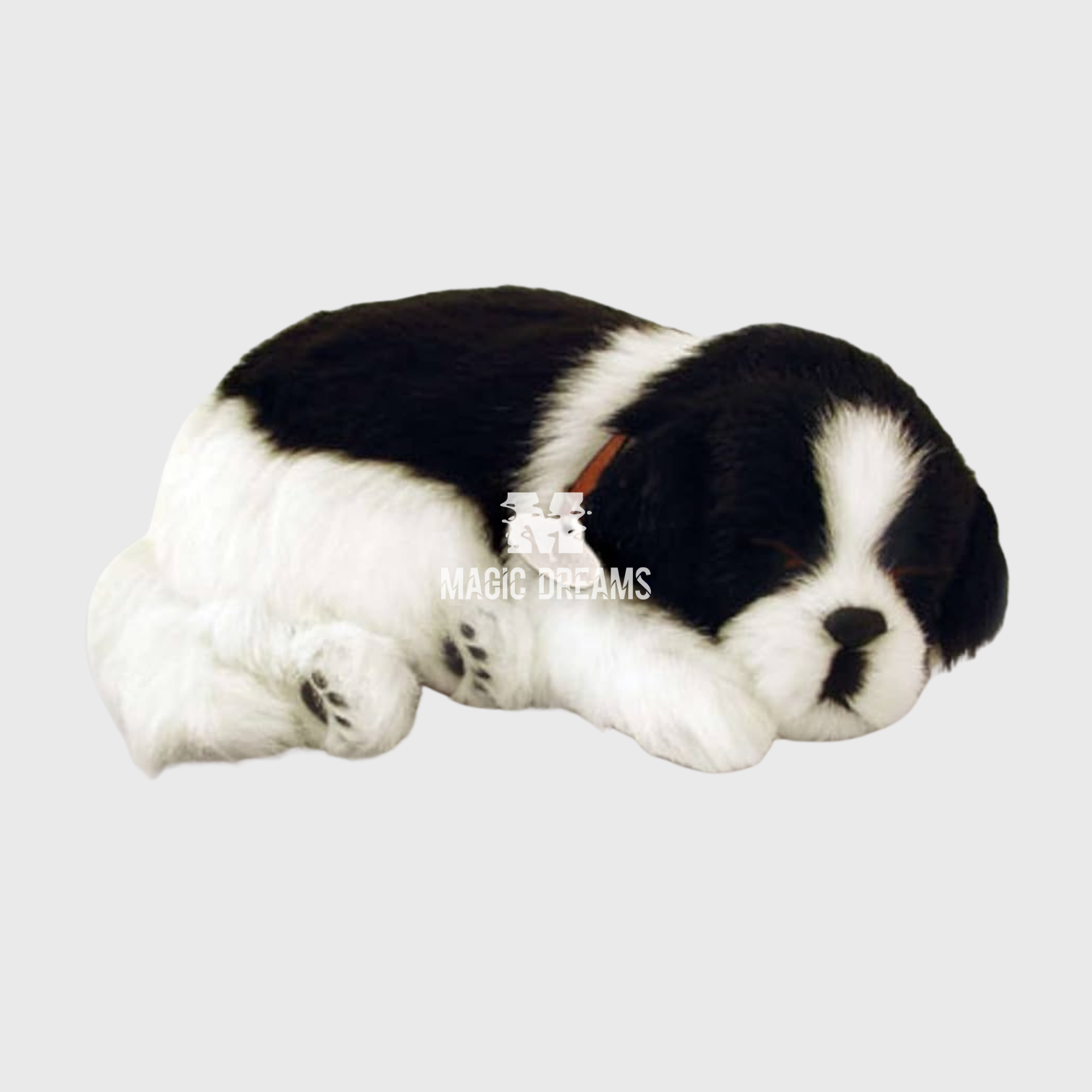 Cão Border Collie Perfect Petzz