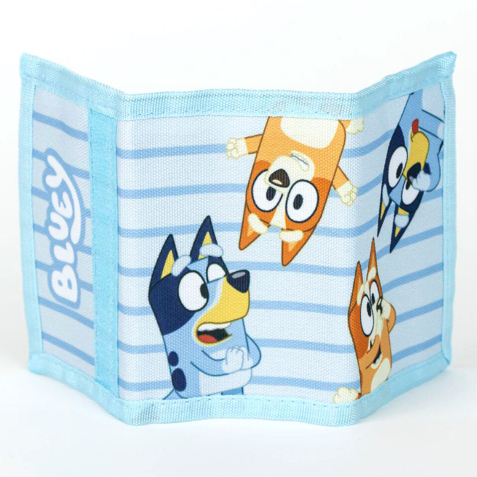 Set Óculos de Sol + Carteira Bluey
