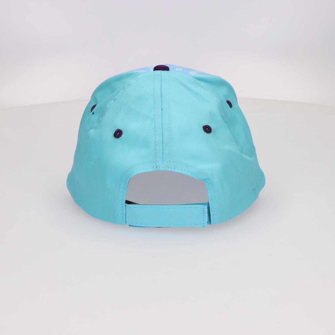 Conjunto Chapéu + Óculos de Sol Bluey e Bingo