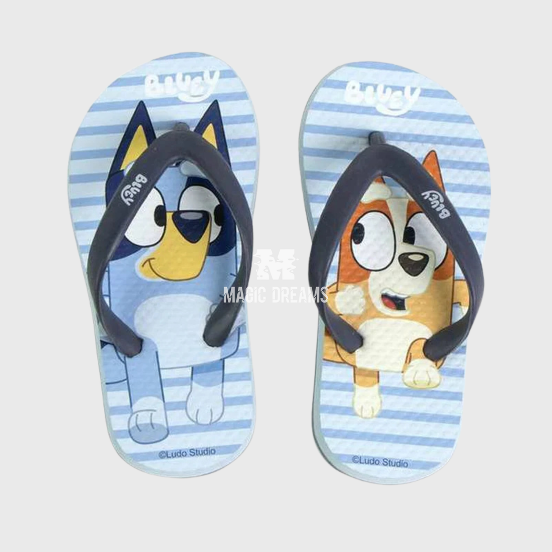 Chinelos de Praia Premium Bluey e Bingo