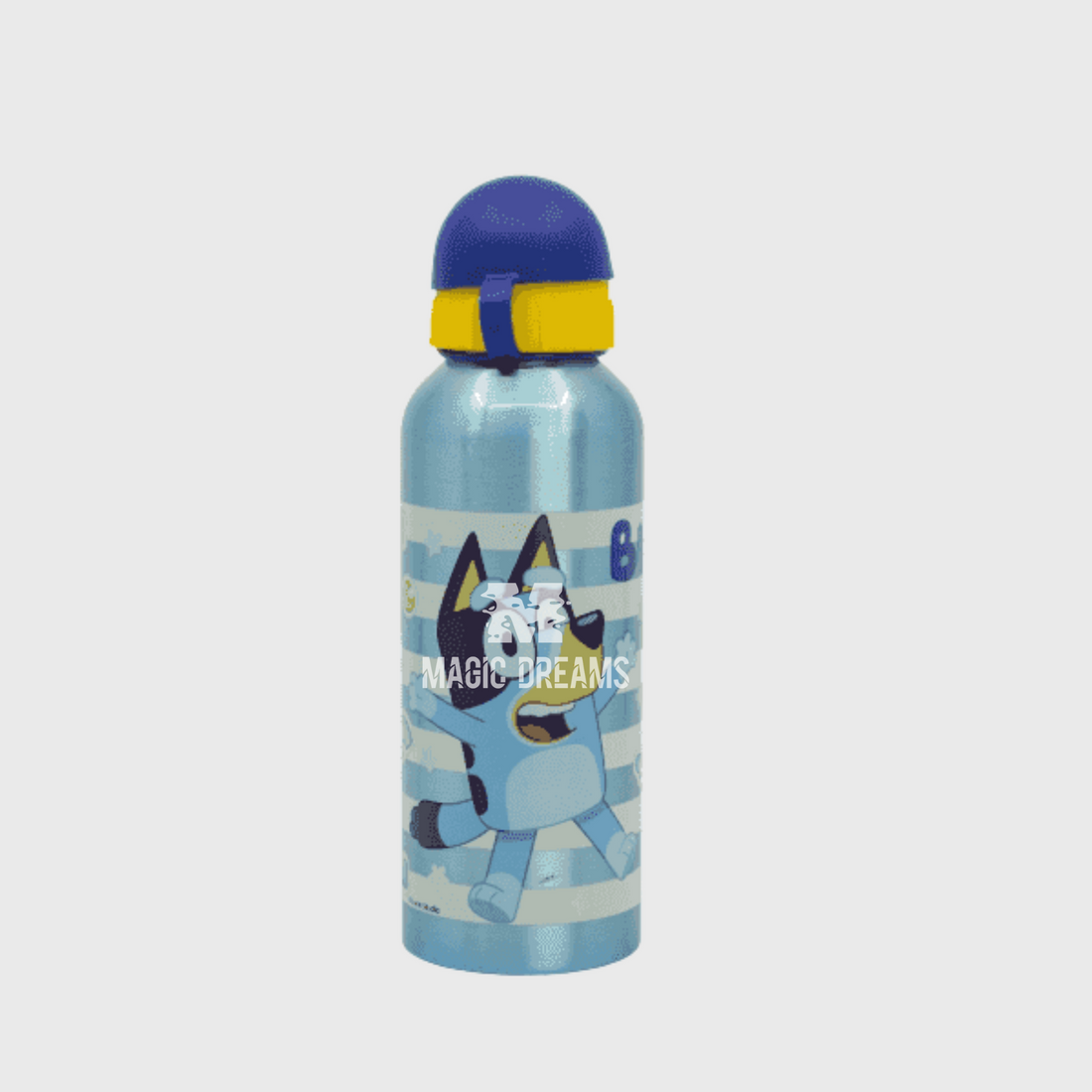 Garrafa de Alumínio Bluey 500ml