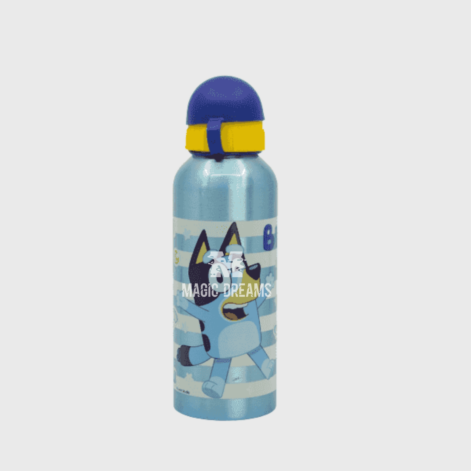 Garrafa de Alumínio Bluey 500ml