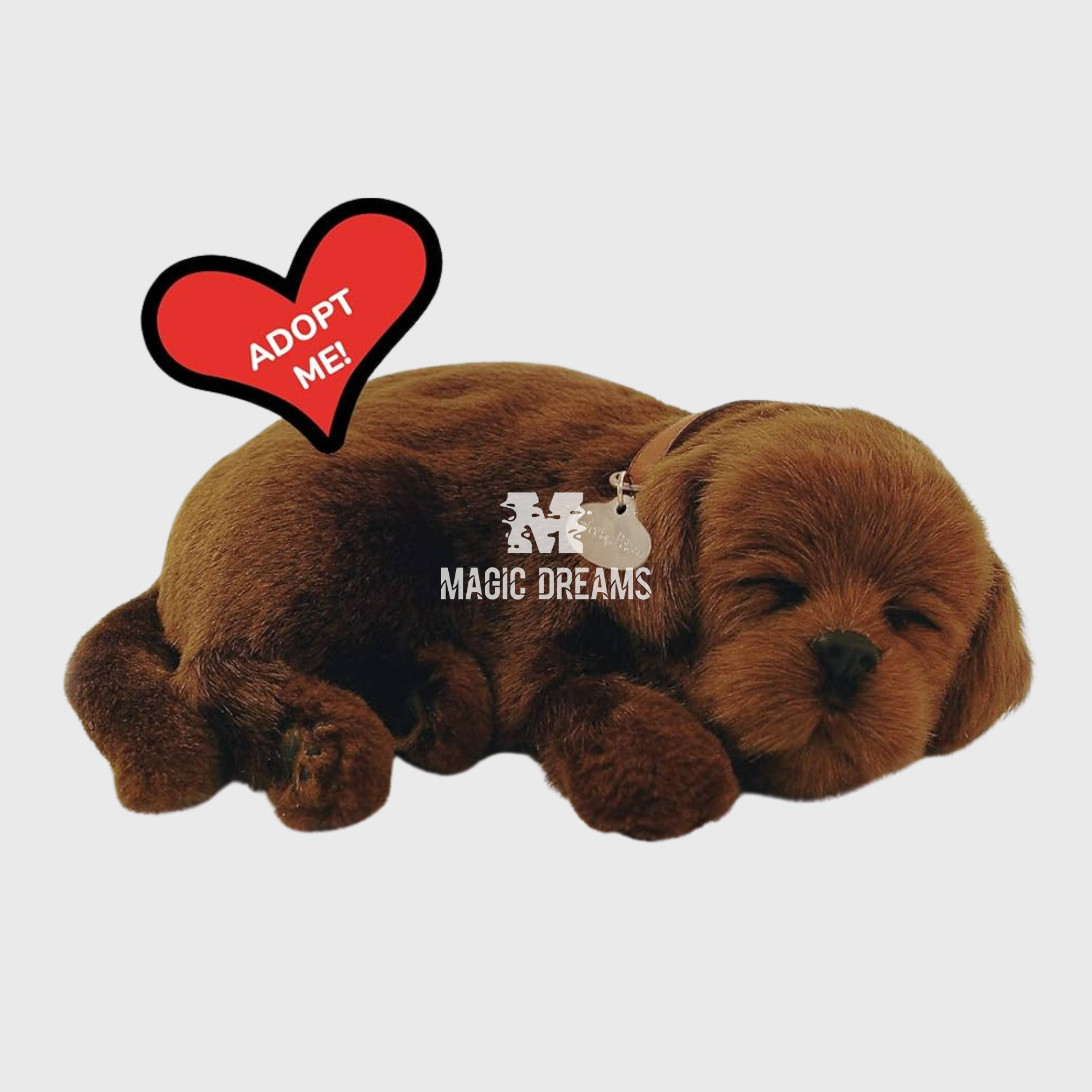 Cão Lavrador Chocolate Perfect Petzz