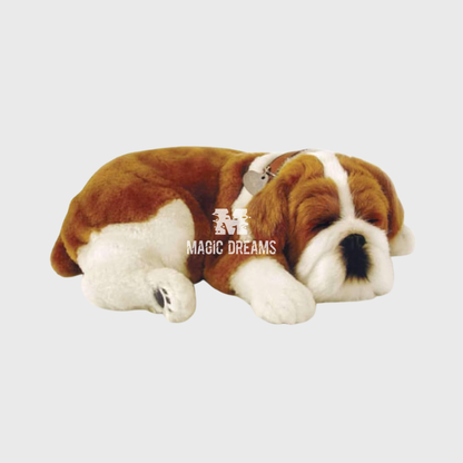 Cão Bulldog Perfect Petzz