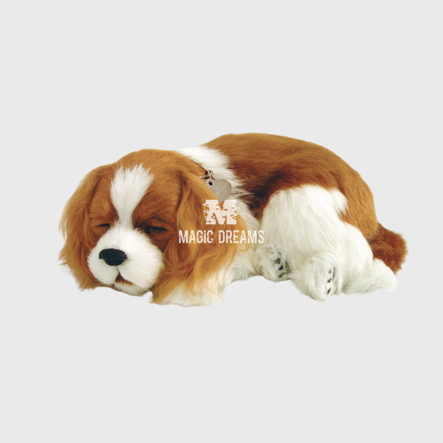 Cão Cavalier King Charles Perfect Petzz