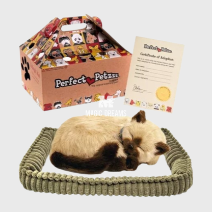 Gato Siamês Perfect Petzz