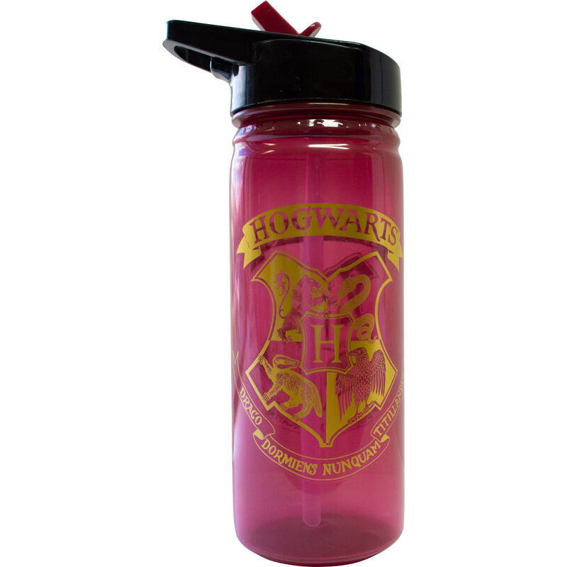 Garrafa Hogwarts Harry Potter 600ml
