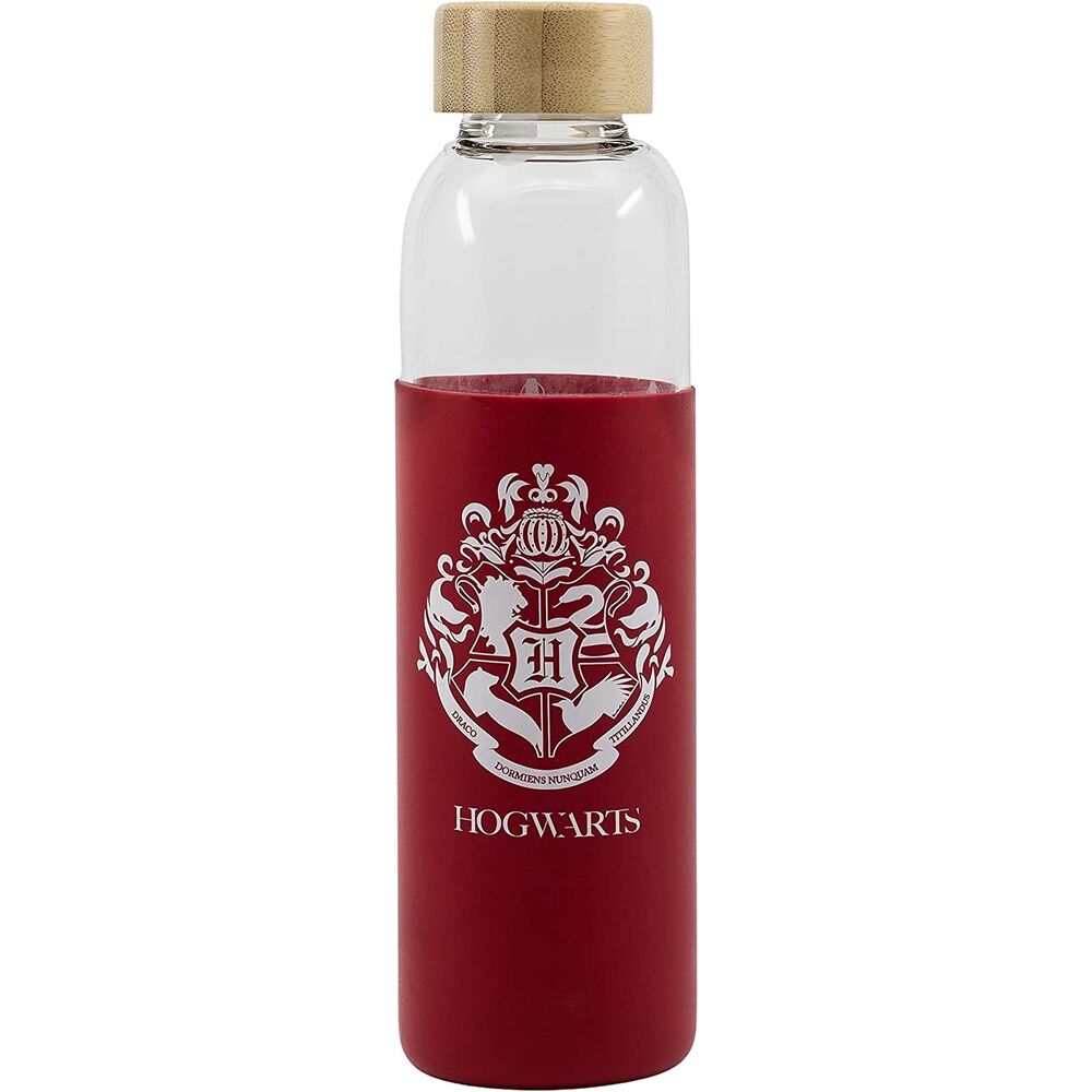 Garrafa de Vidro Harry Potter 585ml